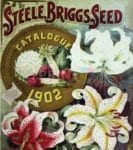 Vintage Retro Flower Seed Label #9 Garden Flag