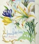 Vintage Retro Flower Seed Label #21 Garden Flag