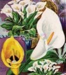 Vintage Retro Flower Seed Label #25 Garden Flag