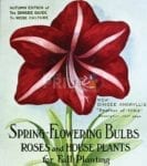 Vintage Retro Flower Seed Label #32 Garden Flag