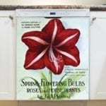 Vintage Retro Flower Seed Label #32 Dishwasher Magnet