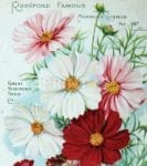 Vintage Retro Flower Seed Label #34 Garden Flag