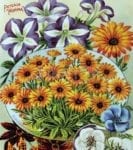 Vintage Retro Flower Seed Label #35 Garden Flag