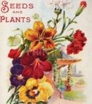 Vintage Retro Flower Seed Label #36 Garden Flag