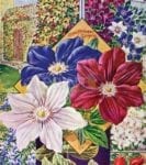 Vintage Retro Flower Seed Label #38 Garden Flag