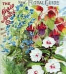 Vintage Retro Flower Seed Label #40 Garden Flag