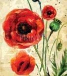 Vintage Poppy Design #1 Garden Flag