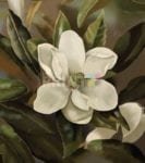 Beautiful Delicate Magnolias Garden Flag