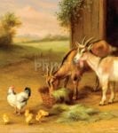 Life of the Barnyard Animals #2 Garden Flag