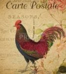 Carte Postale Vintage Rooster #1 Garden Flag