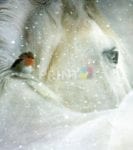 White Horse and Little Robin Garden Flag