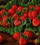 Red Juice Strawberries Garden Flag