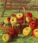 Basket with Apples Garden Flag