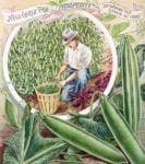 Vintage Retro Vegetable and Fruit Label #4 Garden Flag