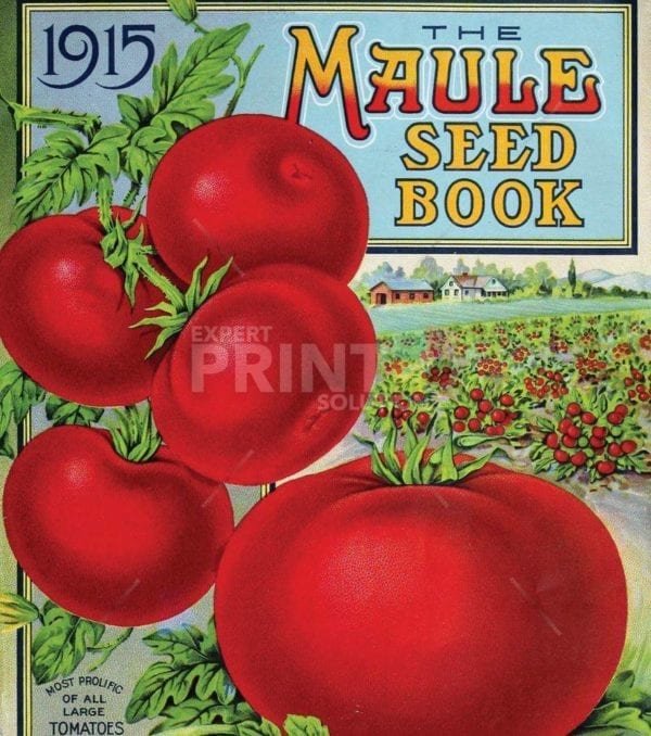 Vintage Retro Vegetable and Fruit Label #8 Garden Flag