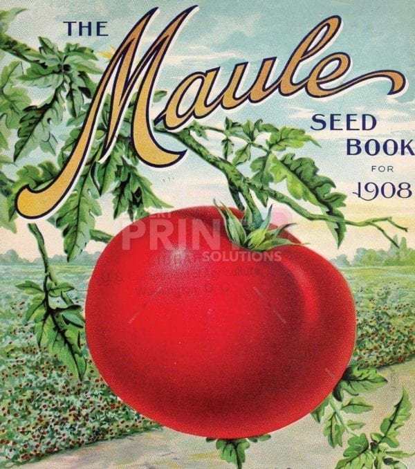Vintage Retro Vegetable and Fruit Label #9 Garden Flag