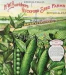 Vintage Retro Vegetable and Fruit Label #10 Garden Flag