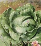 Vintage Retro Vegetable and Fruit Label #15 Garden Flag