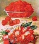 Vintage Retro Vegetable and Fruit Label #24 Garden Flag