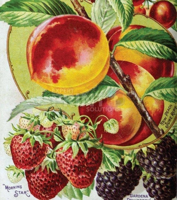 Vintage Retro Vegetable and Fruit Label #25 Garden Flag