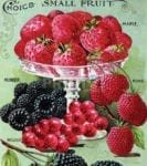 Vintage Retro Vegetable and Fruit Label #28 Garden Flag