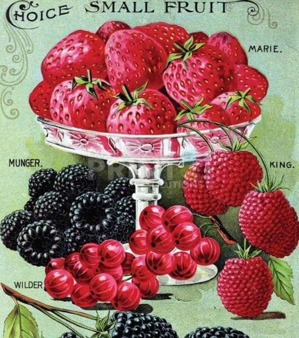Vintage Retro Vegetable and Fruit Label #28 Garden Flag