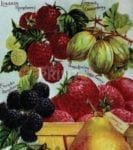 Vintage Retro Vegetable and Fruit Label #35 Garden Flag