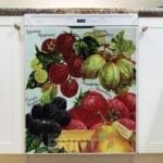 Vintage Retro Vegetable and Fruit Label #35 Dishwasher Magnet