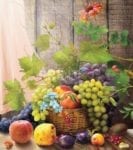 4823-still-life-with-flowers-and-fruit Still Life with Flowers and Fruit Garden Flag