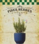 Vintage Fine Herbes #6 Garden Flag