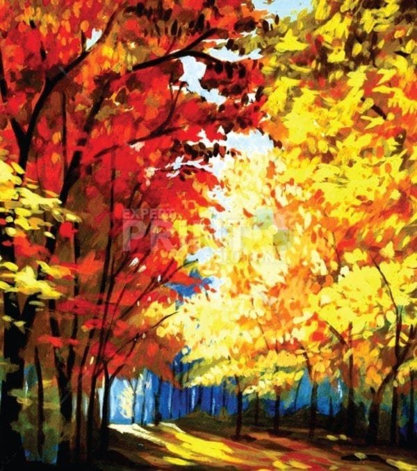 Colorful Autumn Trees Garden Flag