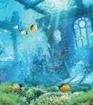 Secret City under the Ocean Garden Flag