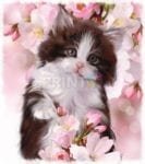 Cute Kitten and Pink Flowers Garden Flag