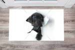 Blue Eyed Puppy Floor Sticker