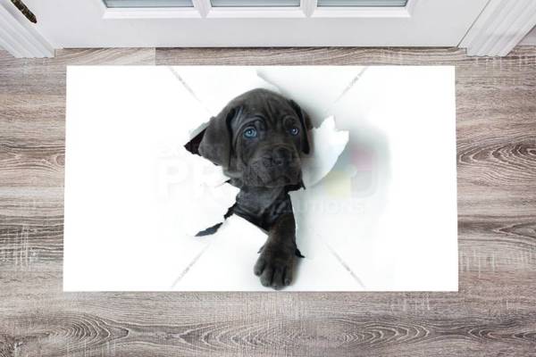 Blue Eyed Puppy Floor Sticker
