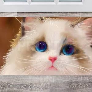 Beautiful Blue Eyed Cat Floor Sticker