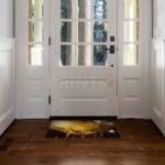 Magical Forest with Fireflies Floor Sticker