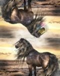 Beautiful Horse #9 Decorative Curbside Farm Mailbox Cover