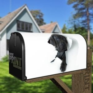 Blue Eyed Puppy Decorative Curbside Farm Mailbox Cover