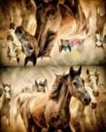 Running Horse Herd Decorative Curbside Farm Mailbox Cover