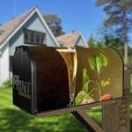 4806-still-life-with-champagne-flute-farm-mailbox-magnetic-cover Still Life with Champagne Flute Decorative Curbside Farm Mailbox Cover